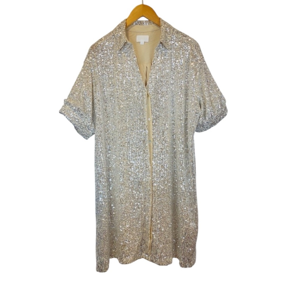 Elegant Silver Sequin Dress